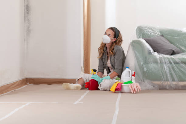 Reliable Mold Remediation contractor in Bartlett, IL by WQB Mold Removal